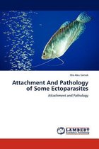 Attachment And Pathology of Some Ectoparasites