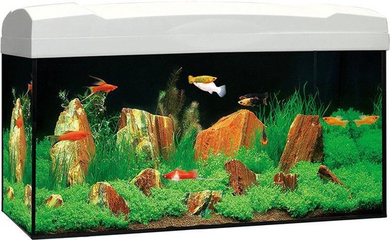 Marina Kit Aquarium - Wit - 54L - 60 x 30 x 30 cm | bol.com