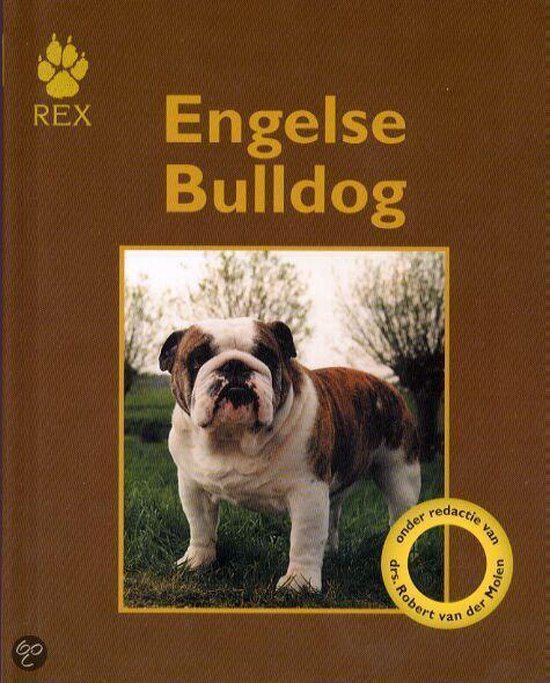 Engelse Bulldog - Michael Dickerson | Highergroundnb.org