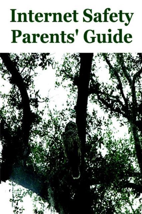 Safety Parents' Guide 9781847289339 Victoria Roddel