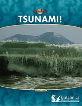 Nature's Fury - Tsunami!