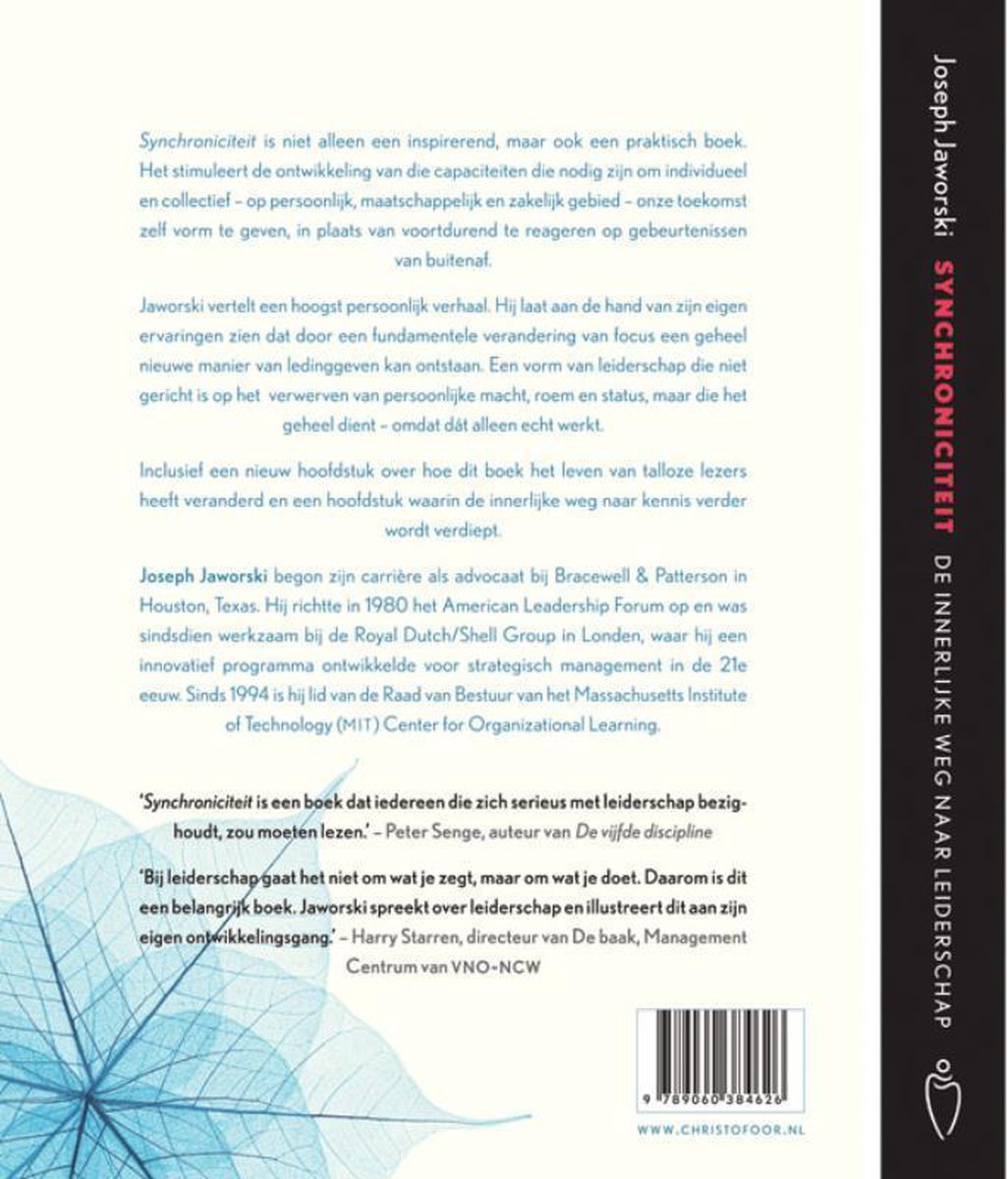 Synchroniciteit - back cover