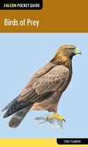 Falcon Pocket Guides - Birds of Prey