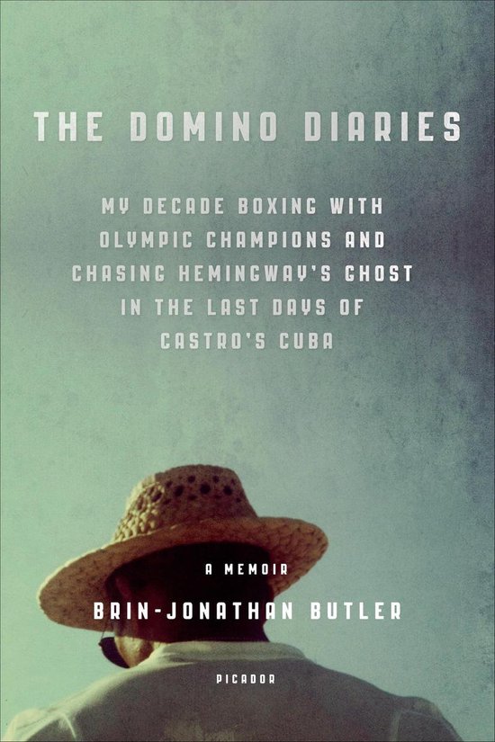 The Domino Diaries - cover