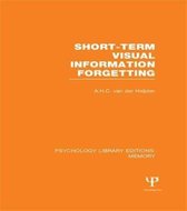 Short-term Visual Information Forgetting
