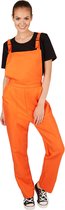 dressforfun - Tuinboek oranje L - verkleedkleding kostuum halloween verkleden feestkleding carnavalskleding carnaval feestkledij partykleding - 301476