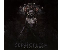 A Fallen Temple (Re-issue)