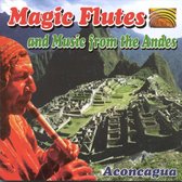 Magic Flutes & Music From The Andes