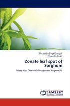 Zonate leaf spot of Sorghum