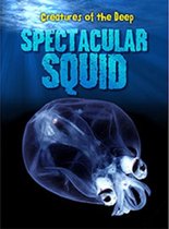 Spectacular Squid