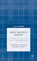 What Water Is Worth