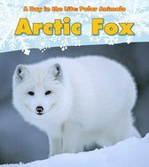 Arctic Fox (A Day in the Life