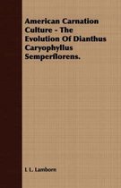 American Carnation Culture - The Evolution of Dianthus Caryophyllus Semperflorens.
