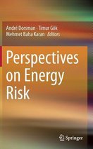 Perspectives on Energy Risk