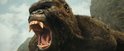 Close-up van het gezicht van Kong, de gorillakoning, met zijn bek open en grote slagtanden.