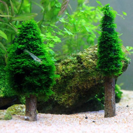 Weven stuk Kritisch Boom waar je zelf waterplanten (zaad) in kunt doen. Laat een boom groeien  in je aquarium. | bol.com