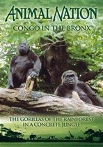 Congo In The Bronx