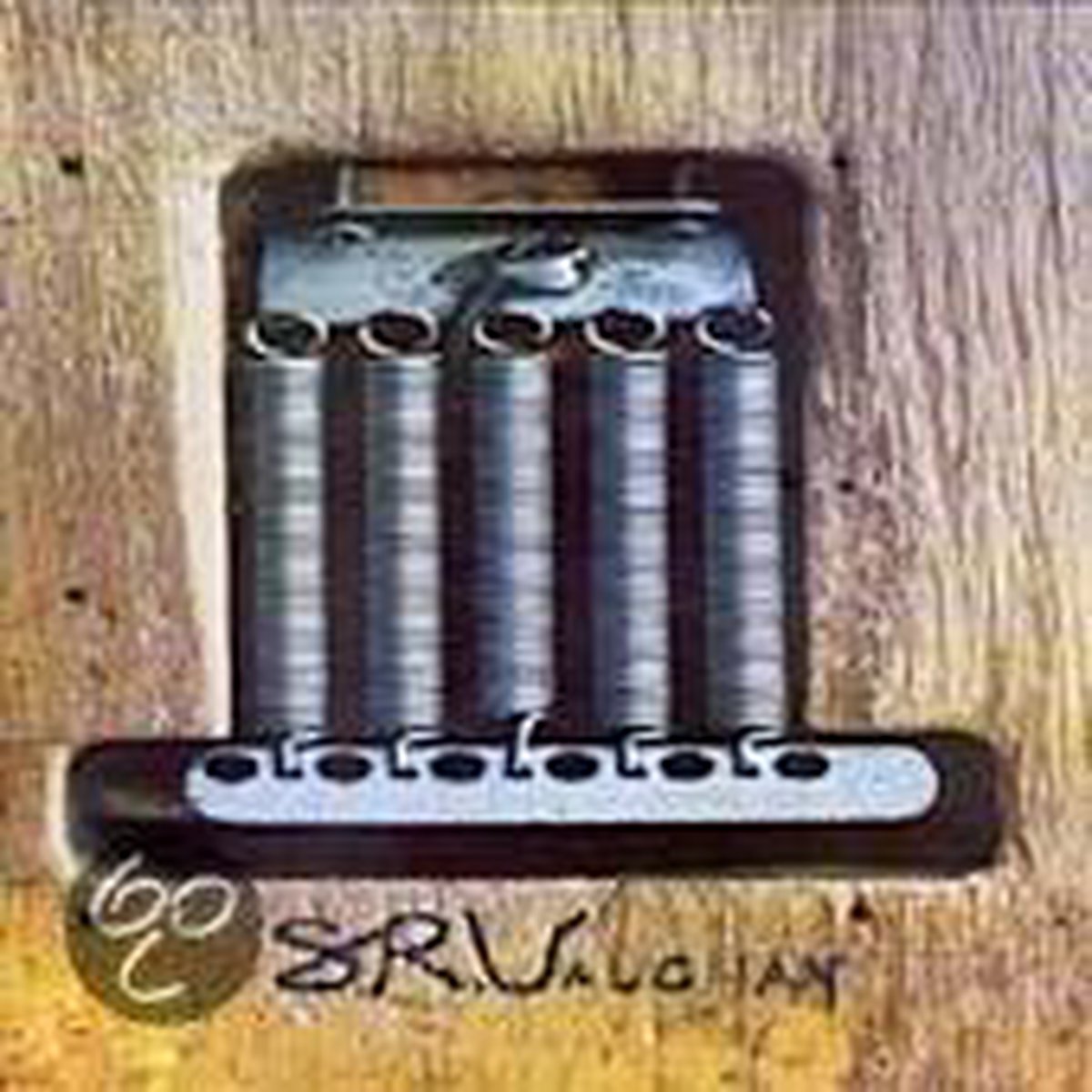 洋楽 S.R.V. CD Stevie Ray Vaughan SRV - The Boxed Set CD album - CD | bol