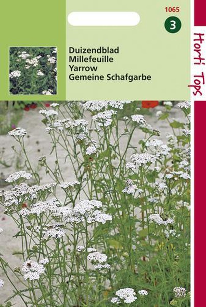 Hortitops Zaden - Duizendblad