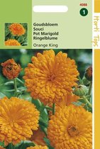 Hortitops Zaden - Calendula Off. Dubbel Oranjekoning