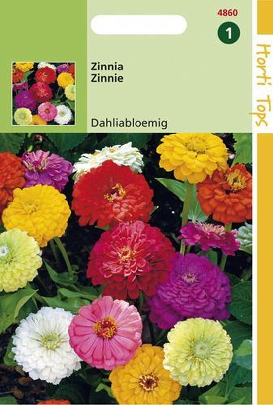 Hortitops Seeds - Zinnia Double Dahliabl. Mixte | bol.com