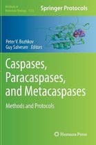 Caspases,Paracaspases, and Metacaspases