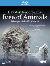 Rise Of The Animals