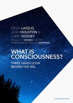 A New Paradigm Book - What is Consciousness?