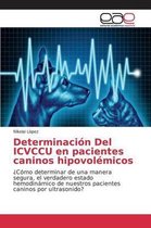 Determinación Del ICVCCU en pacientes caninos hipovolémicos