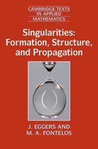 Cambridge Texts in Applied Mathematics 53 - Singularities: Formation, Structure, and Propagation