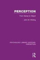 Psychology Library Editions: Perception 34 - Perception