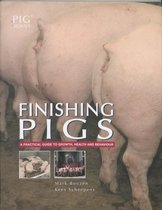 Finishing Pigs