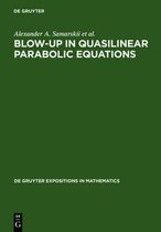 Blow-Up in Quasilinear Parabolic Equations