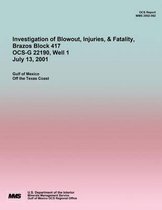 Investigation of Blowout, Injuries, & Fatality, Brazos Block 417 OCS-G 22190 July 13, 2001