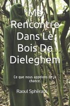 Ma Rencontre Dans Le Bois De Dieleghem