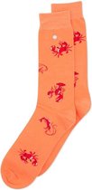 Alfredo Gonzales Sea Critters Donkersalmon/Rood, Maat XS 35/37