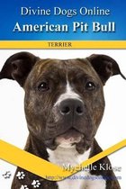 American Pit Bull Terriers