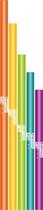 Boomwhackers Set Of 5 Bass Chromatic percussie