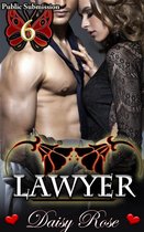 Public Submission 6 - Lawyer