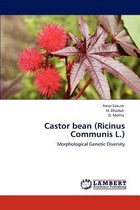Castor bean (Ricinus Communis L.)