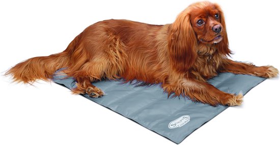 Scruffs Koelmat Hond - Grijs - M - 77 x 62 cm