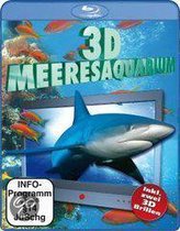Meeresaquarium In 3D - 3D Meeresaquarium