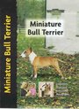 Miniature Bull Terrier