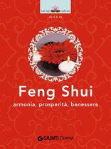 Next Age 6 - Feng Shui