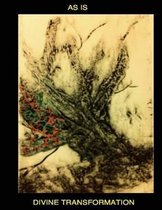 AS IS-Divine Transformation