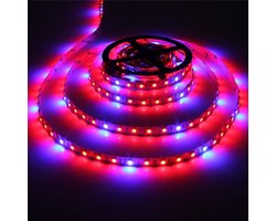 Grow light led strip - Rood/Blauw - 4:1 - 5 meter