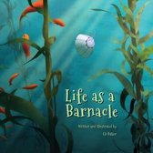 Life as a Barnacle