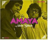 Los Amaya - Amor Gitano (2 CD)