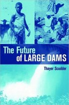 The Future of Large Dams