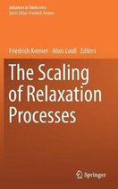 The Scaling of Relaxation Processes